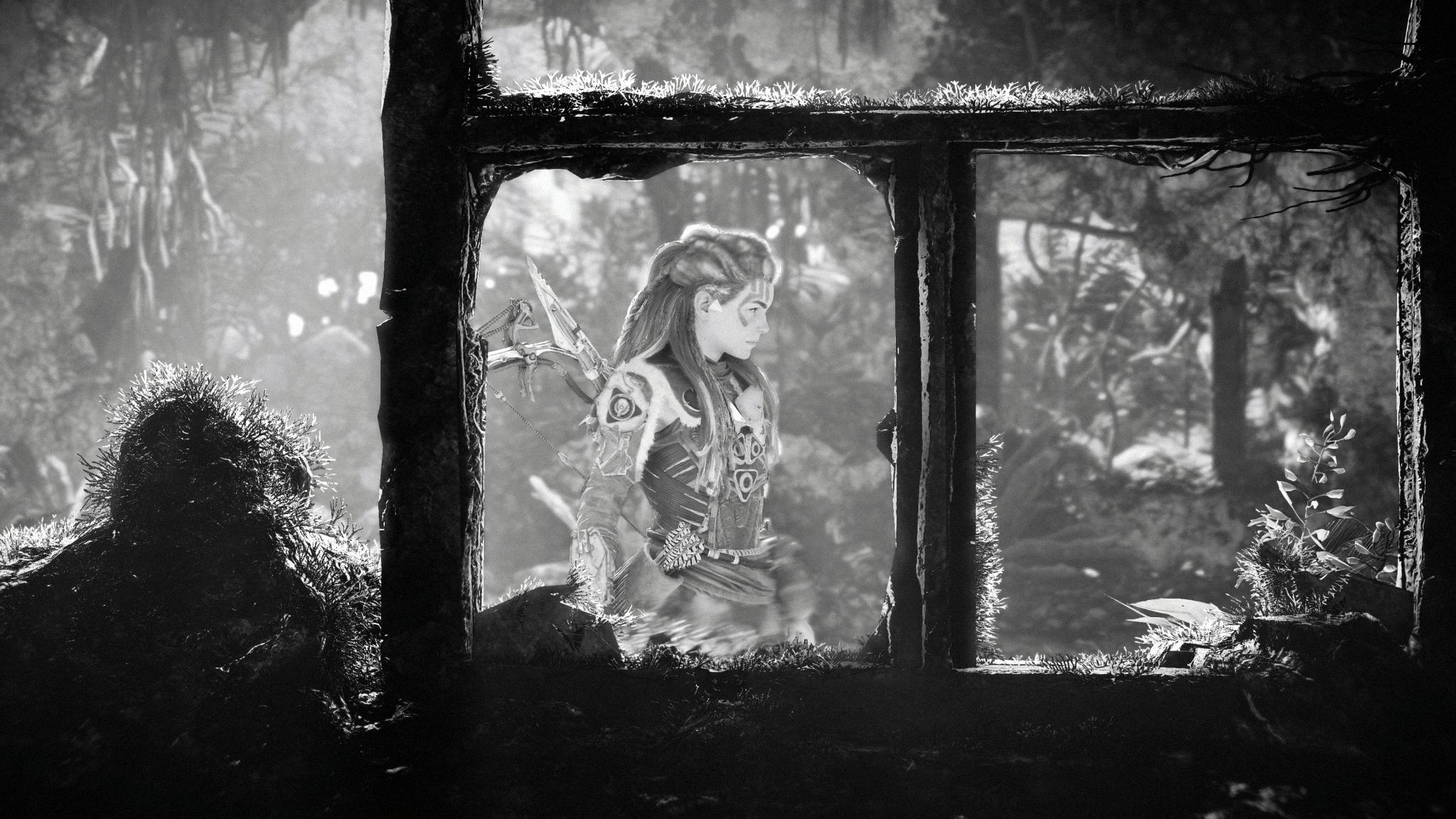 Horizon Forbidden West 01